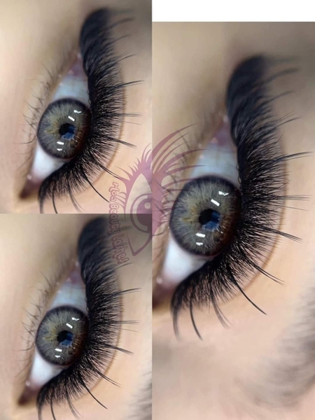 hoabeautylashes, học nối mi, nối mi katun, lớp học nối mi, dịch vụ nối mi đẳng cấp