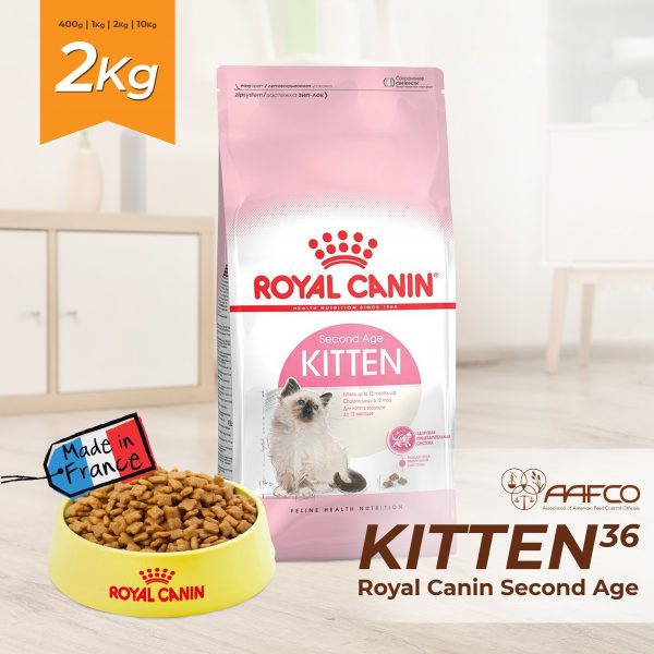 Thức ăn mèo Royal canin kitten 2kg