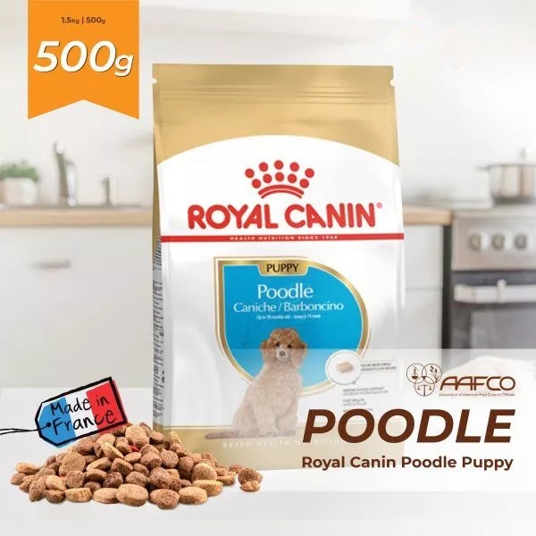 Thức ăn Royal Canin Poodle Puppy 500g