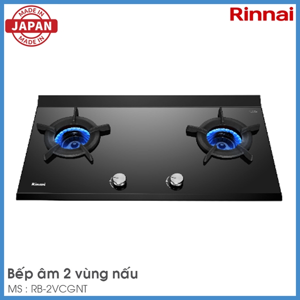 Bếp Gas Âm Rinnai RB-2VCGN