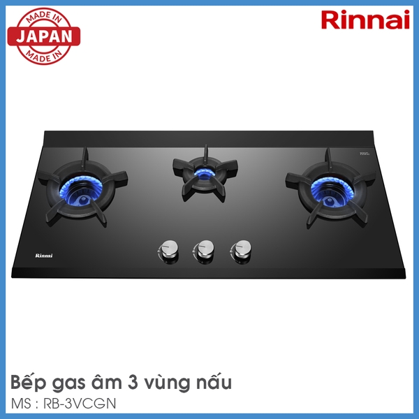 Bếp Gas Âm Rinnai RB-3VCGN