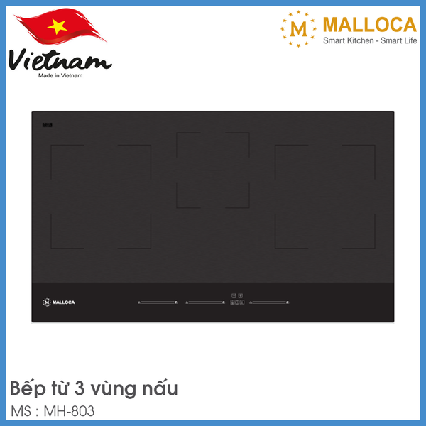 Bếp Từ Skylux Malloca MH-803