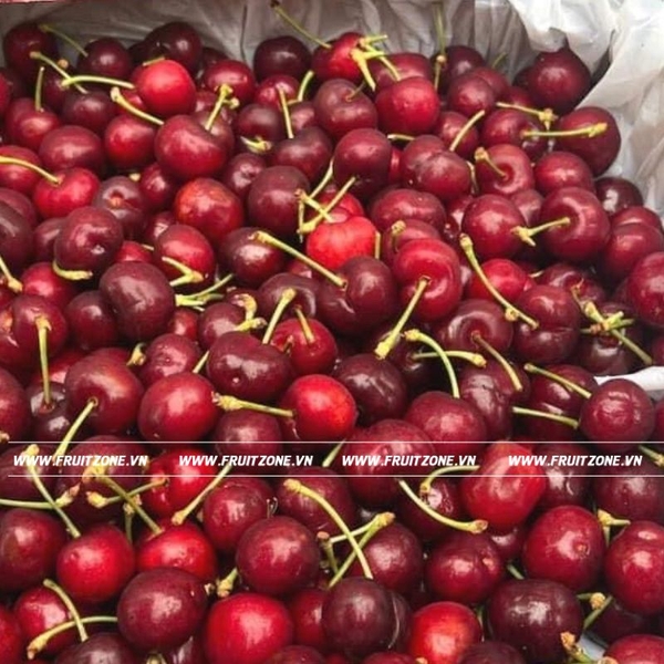 Cherry Úc