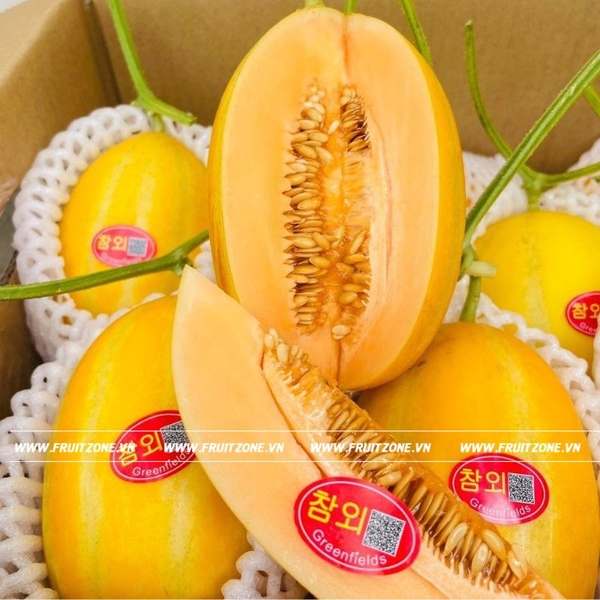 Dưa lê giống Hàn Quốc