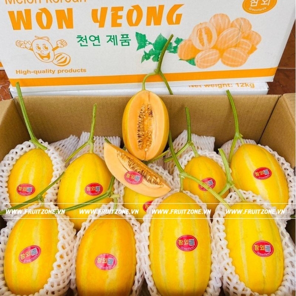Dưa lê giống Hàn Quốc