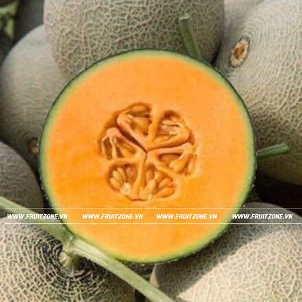 Dưa lưới TL3