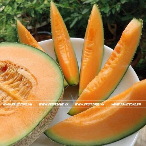 Dưa lưới TL3