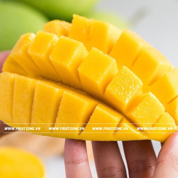 Xoài Cát Chu Đồng Tháp