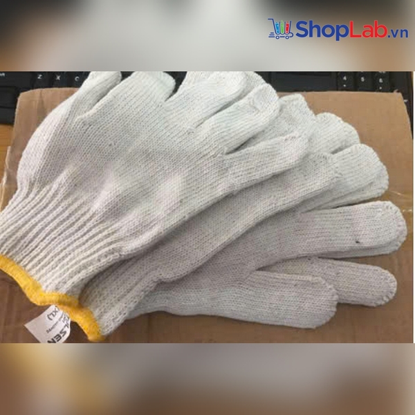 Bộ 12 bao tay vải 600g 45001 Tolsen