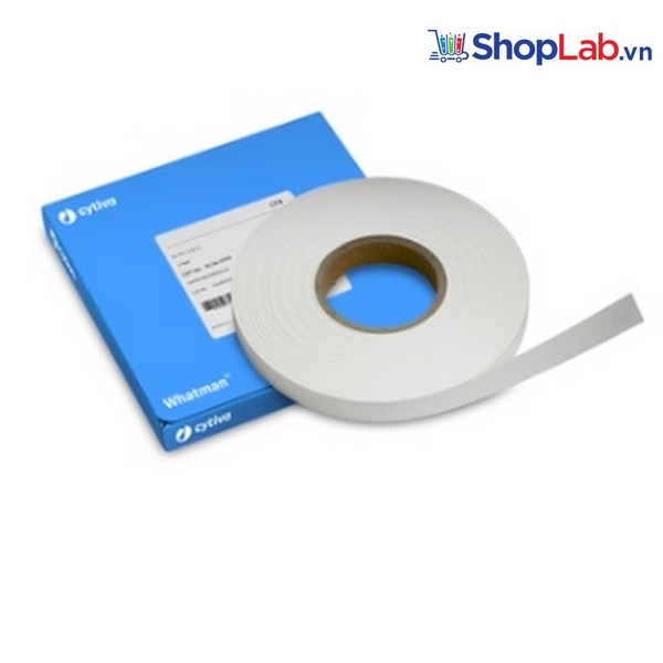 Giấy thấm CF4 22mm x 50m Whatman