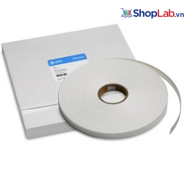 Giấy thấm CF6 22mmx50m Whatman