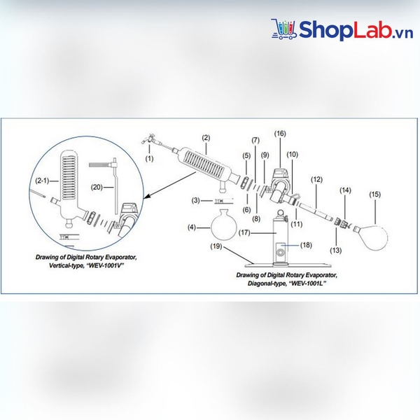 Vòng bịt chân không FTFE Φ42×0.7mm DH.Ev1001.A07 DaiHan