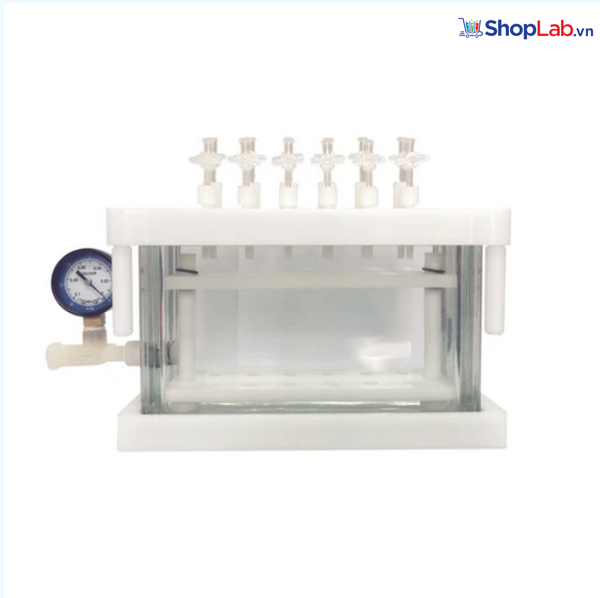 Bộ chiết mẫu chân không 12 cổng FTSPEMF12G Finetech