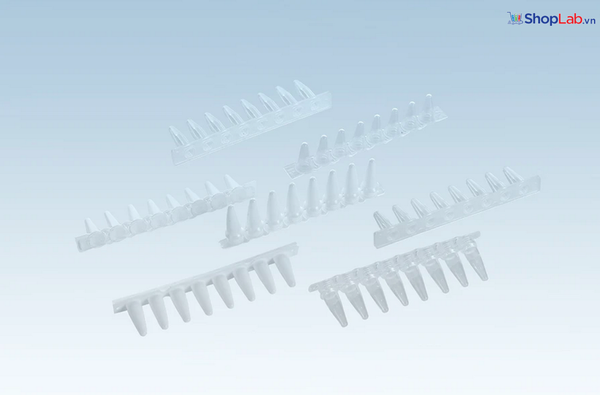 Dải 8 ống PCR 0.1ml PCR-T01-8AW Finetech