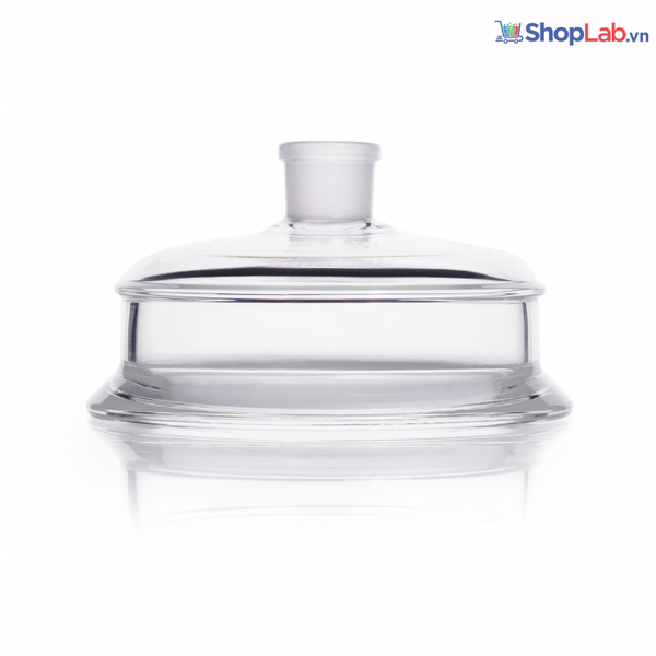 Nắp cho bình phản ứng  DN 150 1 cổ 29/32 243985704 Duran