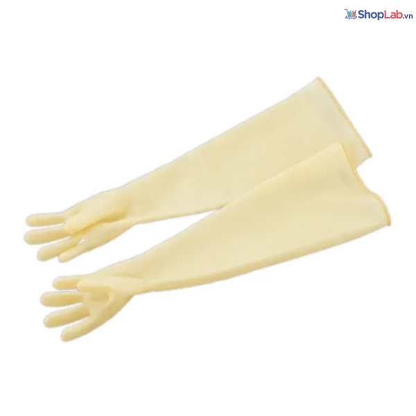 Găng tay cao su tự nhiên SL.Glo6623 Daihan