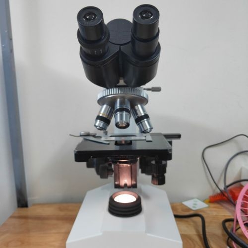 kinh-hien-vi-sinh-hoc-2-mat-xsp-15
