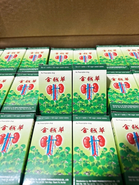 KIM TIỀN THẢO HT