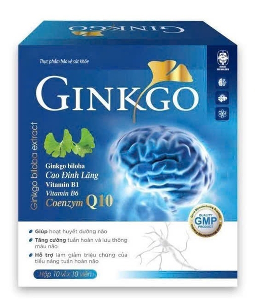 GINKO 240 lá vàng