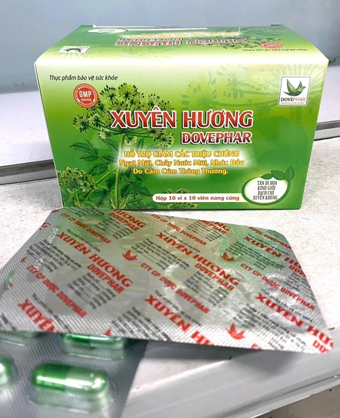 CẢM XUYÊN HƯƠNG H/100viên