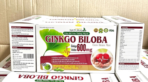 GINKGO BILOBA CERE BRAIN MAX 600 h/100v