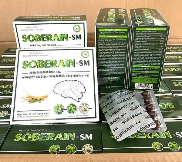 GINKGO SOBERAIN SM H/100viên