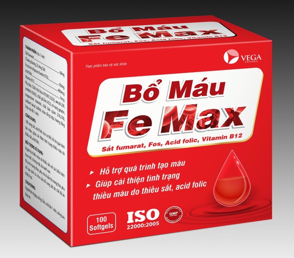 FE MAX H/100viên