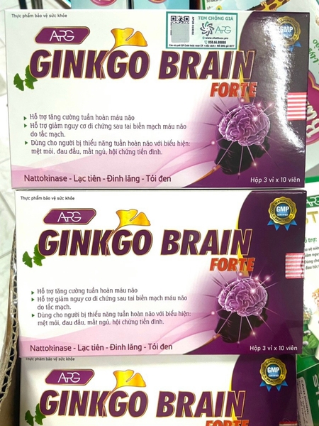 GINKGO BRAIN FORTE