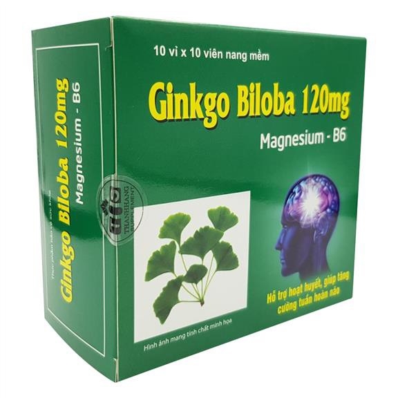 GINKGO BILOBA 120 TH