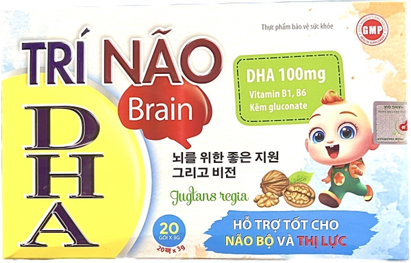 Trí não DHA brain