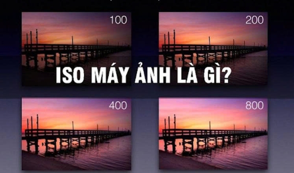 ISO là Gì Trong Máy Ảnh