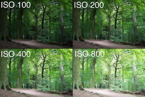 ISO là Gì Trong Máy Ảnh