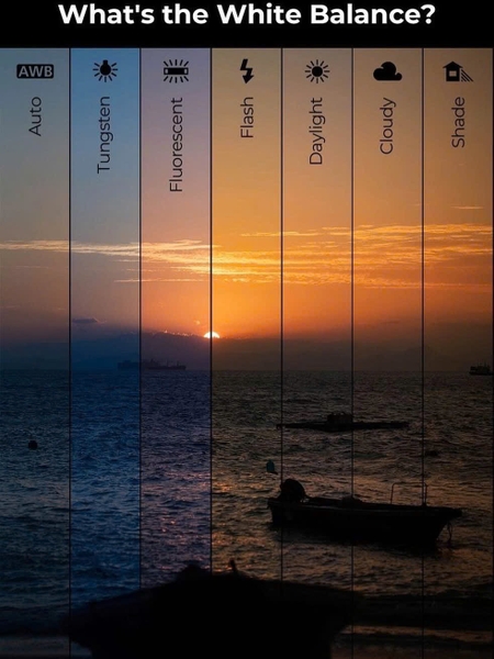 Cân Bằng Trắng (White Balance)