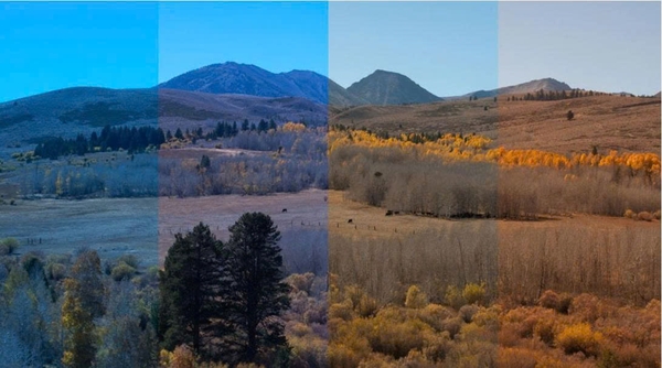 Cân Bằng Trắng (White Balance)