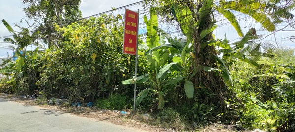 Bán đất Xã Đông Phú, huyện Châu Thành, Hậu Giang lộ nhựa 6m diện tích 35x85m, 300m2 thổ cư