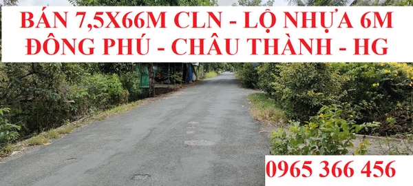 Bán đất Xã Đông Phú, huyện Châu Thành, Hậu Giang lộ nhựa 6m diện tích 7.5x66m