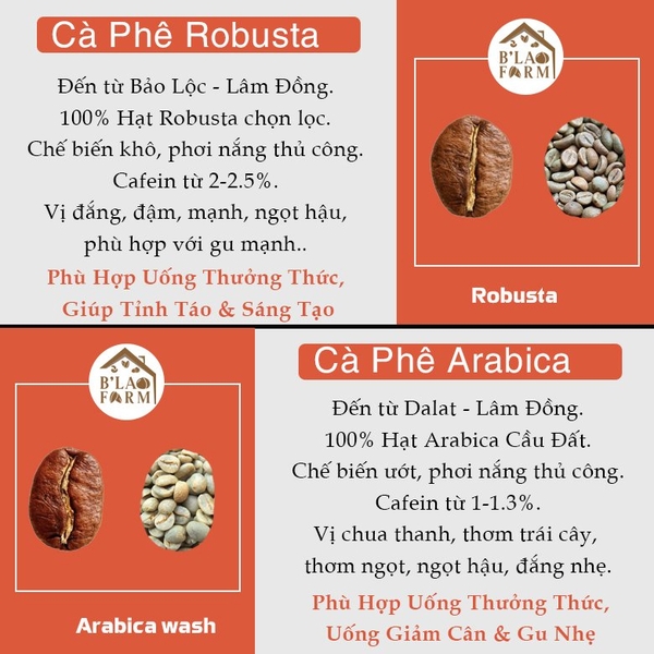 Cà phê rang xay nguyên chất Blend 90% Robusta và 10% Arabica B'lao Farm rang mộc ,gu hiện đại,không hương liệu và chất bảo quản B91
