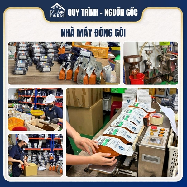 Cà phê phin giấy Robusta Honey B'Lao Farm - Đắng dịu, thơm nồng, ngọt hậu, dễ mang đi du lịch và pha tại văn phòng