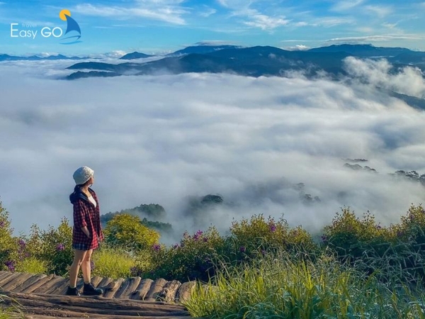 Review chân thực các địa điểm săn mây Đà Lạt HOT nhất 2024