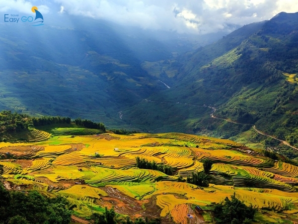 TOP những cảnh đẹp Sapa làm say đắm lòng người