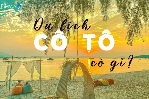 Du lịch Cô Tô có gì? Top 7 điểm du lịch đảo Cô Tô Quảng Ninh hot nhất