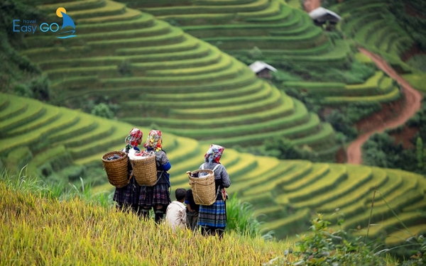 Du lịch mùa đông miền Bắc: 5 địa điểm lý tưởng nhất dành cho bạn