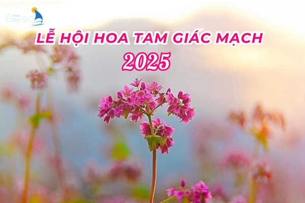 Lễ hội hoa tam giác mạch Hà Giang 2025 đã sẵn sàng chờ đón du khách