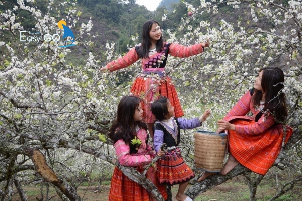 Địa điểm vui chơi, ăn uống, du lịch nên chọn trong dịp Nghỉ Tết Dương lịch 2026