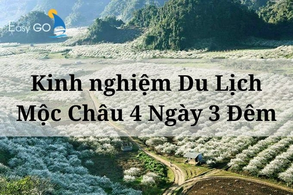 Cẩm nang kinh nghiệm du lịch Mộc Châu 4 ngày 3 đêm chi tiết từ A-Z
