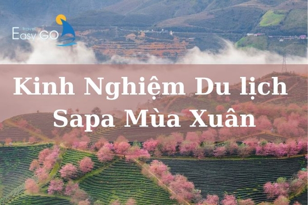 Kinh nghiệm du lịch Sapa mùa Xuân hữu ích