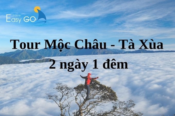 Hành trình săn mây hấp dẫn với Tour Mộc Châu Tà Xùa 2 ngày 1 đêm