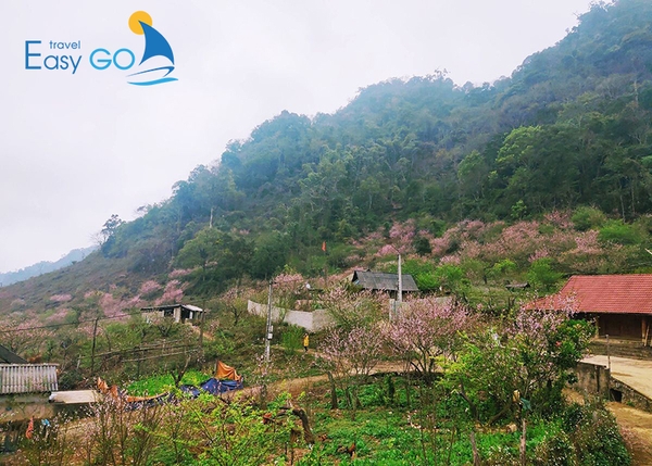 Bản Lóng Luông nằm dọc QL6, huyện Vân Hồ, tỉnh Sơn La  