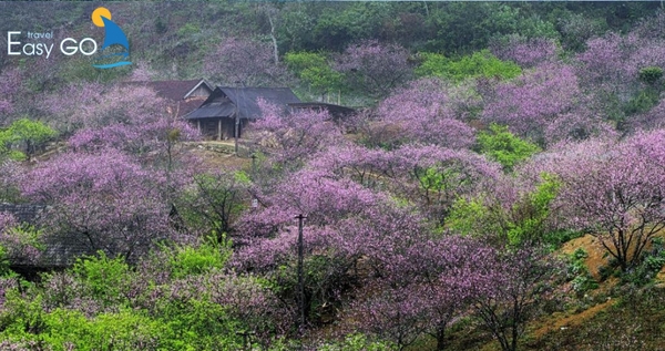 Khung cảnh đầy mộc mạc, hoang sơ tại bản Lóng Luông