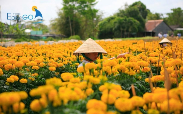 Bạn hãy mua vé để vào tham quan Làng hoa Sa Đéc khá rẻ 